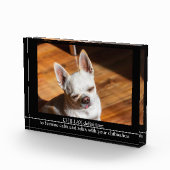 CHILLAX definition calm relax chihuahua photo text フォトブロック (右)