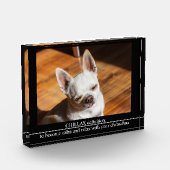 CHILLAX definition calm relax chihuahua photo text フォトブロック (左)