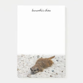 Chillin'Meerkat Post-Itメモ ポストイット (正面)