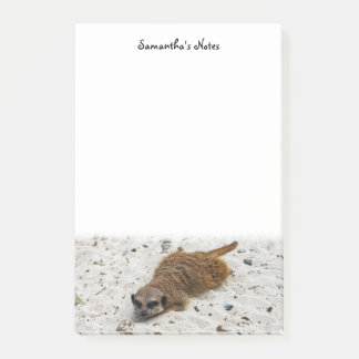 Chillin'Meerkat Post-Itメモ ポストイット