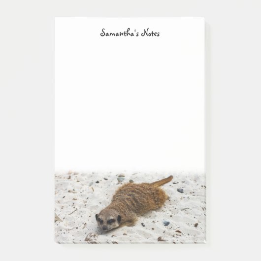 Chillin'Meerkat Post-Itメモ ポストイット (正面)