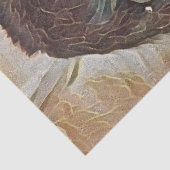 CHIMP ART 薄葉紙 (詳細)