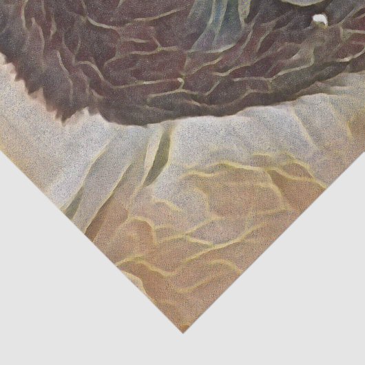 CHIMP ART 薄葉紙 (詳細)