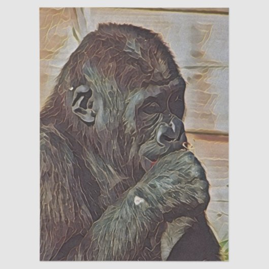 CHIMP ART 薄葉紙 (正面)