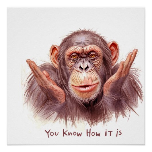 Chimp Telling You :"You Know How It Is" ポスター (正面)