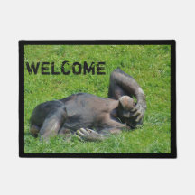 Chimpanzeeおもしろいフォトウェルカム