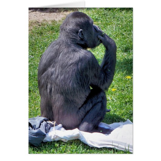 CHIMPANZEEカード (正面)