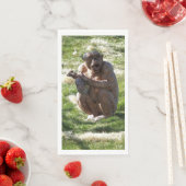 CHIMPANZEE (インサイチュ)