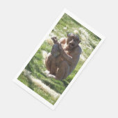 CHIMPANZEE (コーナー)