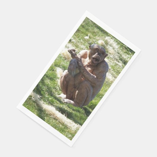 CHIMPANZEE (コーナー)