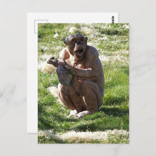 CHIMPANZEE ポストカード (正面/裏面)