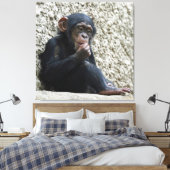 Chimpanzee 013 キャンバスプリント (インサイチュ (寝室))
