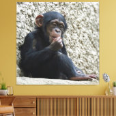 Chimpanzee 013 キャンバスプリント (インサイチュ (リビング))