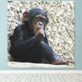 Chimpanzee 013 キャンバスプリント (インサイチュ (ウッドフロア))