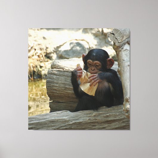 Chimpanzee_2015_0101 キャンバスプリント (正面)