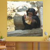 Chimpanzee_2015_0101 キャンバスプリント (インサイチュ (リビング))