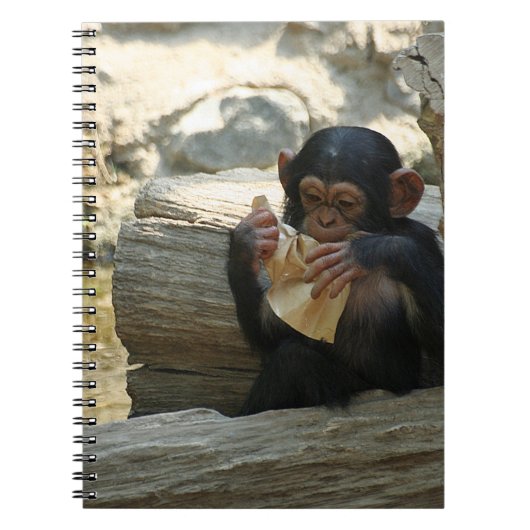 Chimpanzee_2015_0101 ノートブック (正面)