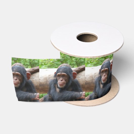 Chimpanzee_2015_0504 サテンリボン (リール)