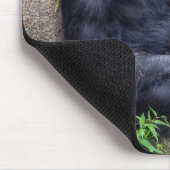 chimpanzee leaning on rock マウスパッド (コーナー)