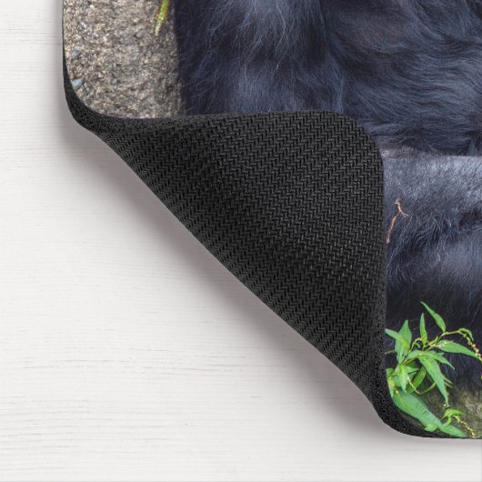 chimpanzee leaning on rock マウスパッド (コーナー)