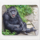 Chimpanzee Leaning On Rock マウスパッド (正面)