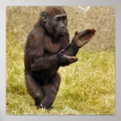 Chimpanzee Poster Print ポスター (正面)