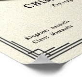 Chimpanzee Zoology Series ポスター (角)