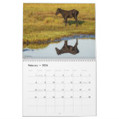 Chincoteague Ponies Wild and Free 2026 Calendar カレンダー (2月 2026)