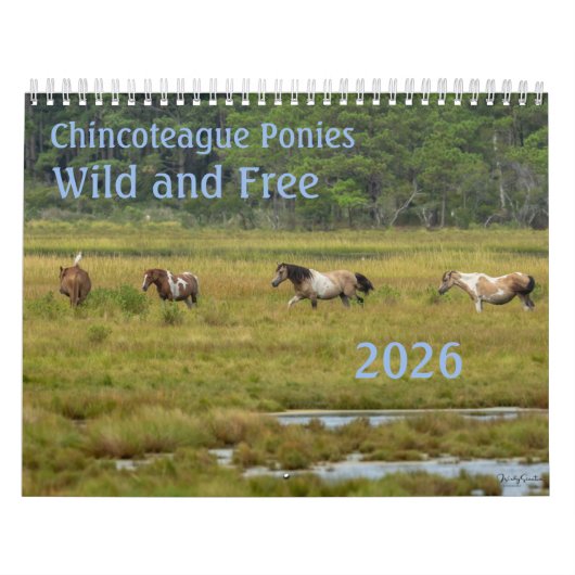 Chincoteague Ponies Wild and Free 2026 Calendar カレンダー (カバー)