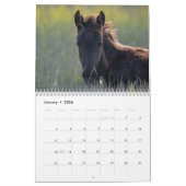 Chincoteague Ponies Wild and Free 2026 Calendar カレンダー (1月 2026)