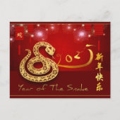 Chinese Lanterns Fireworks Snake Year 2025 HHPostC インビテーションポストカード (正面)