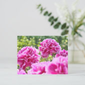 Chinese Peony ポストカード (スタンド正面)