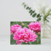 Chinese Peony ポストカード (スタンド正面)