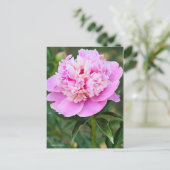 Chinese Peony [Postcard] ポストカード (スタンド正面)