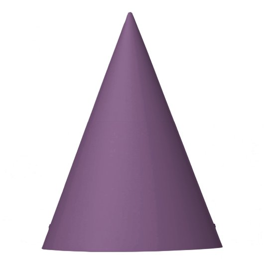 Chinese Violet Party Hat パーティーハット (正面)