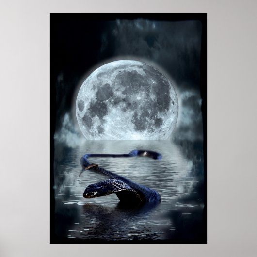 Chinese Year of the Snake Water Snake Black Snake ポスター (正面)
