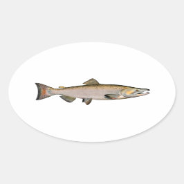 Chinook – キングサーモン(産卵期) 楕円形シール