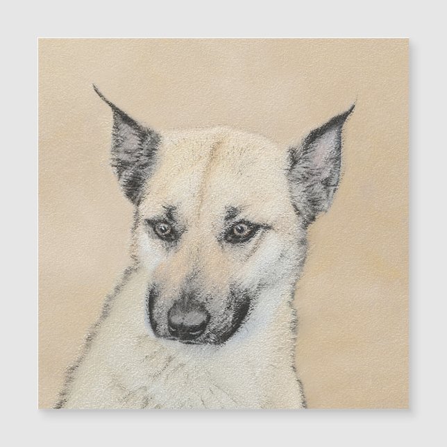 Chinook (Pointed Ears)'絵画s - オリジナルドッグアート (正面)