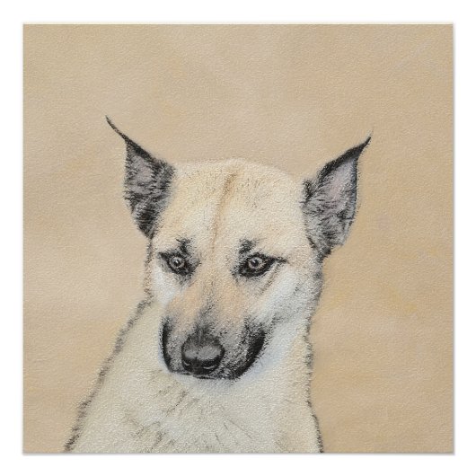 Chinook (Pointed Ears)'絵画s - オリジナルドッグアート ポスター (正面)