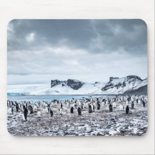 Chinstrapのペンギンのコロニーの景色 マウスパッド