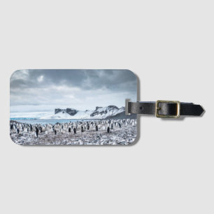 Chinstrapのペンギンのコロニーの景色 ラゲッジタグ