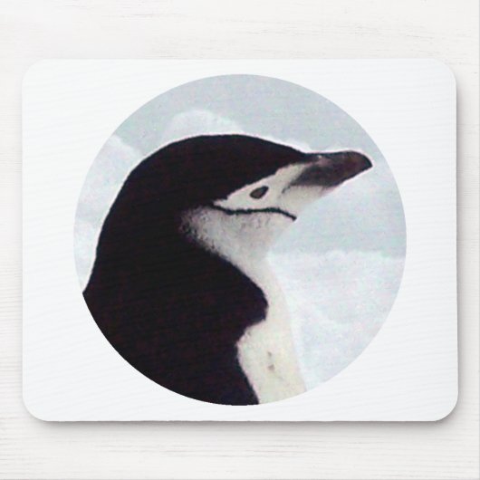 Chinstrapのペンギンのポートレート マウスパッド (正面)