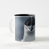 Chinstrapのペンギン ツートーンマグカップ (正面左)