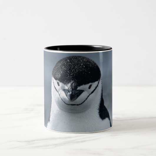 Chinstrapのペンギン ツートーンマグカップ (中央)