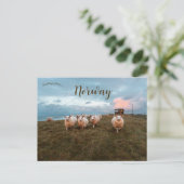 Chipes at Sunset in Jren Norway ポストカード (スタンド正面)