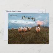 Chipes at Sunset in Jren Norway ポストカード (正面/裏面)