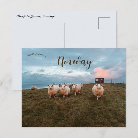 Chipes at Sunset in Jren Norway ポストカード (正面/裏面)