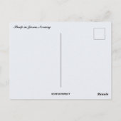 Chipes at Sunset in Jren Norway ポストカード (裏面)