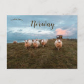 Chipes at Sunset in Jren Norway ポストカード (正面)