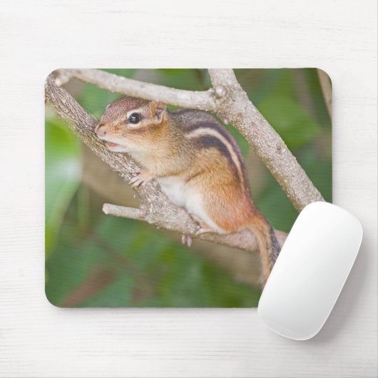 Chipmonk マウスパッド (マウス)
